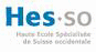 Formation de praticien formateur 2008