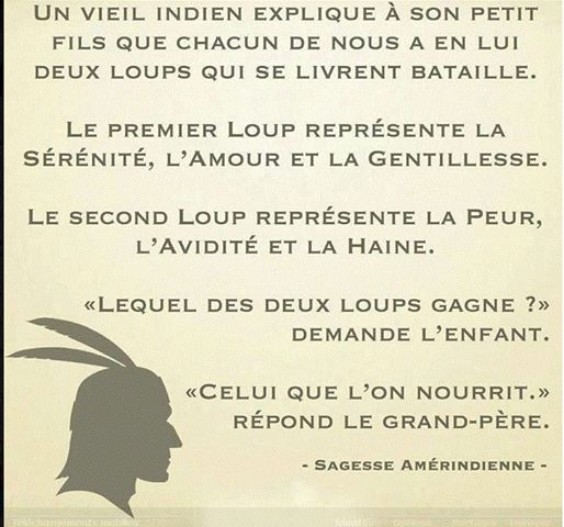 Entre loups 