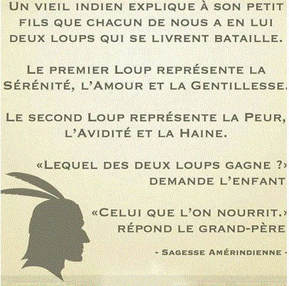 Education la métaphore des loups ... 