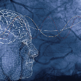 Semaine du cerveau sur la perception