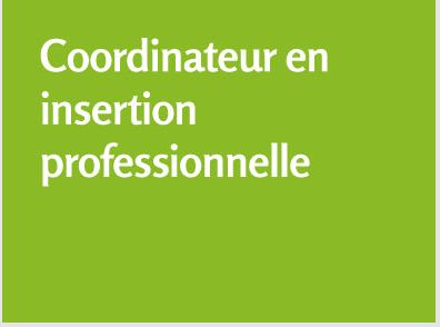 Image de Coordinateur en insertion professionnelle 