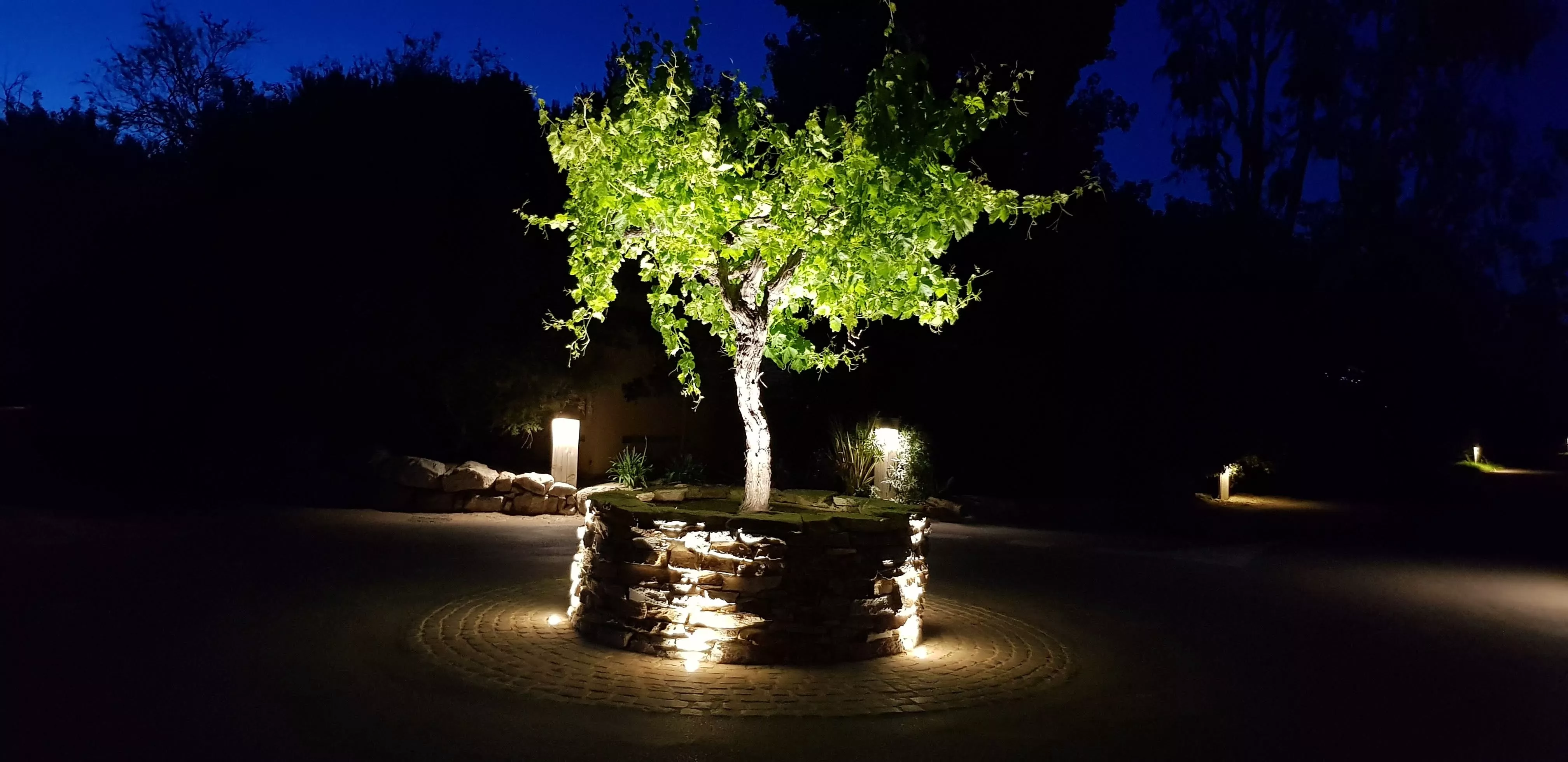 Améliorer l'affirmation de soi favoriser l'intelligence relationnelle 