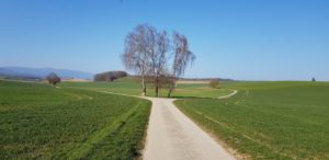 Formation Coaching de vie développement de projet de vie par le coaching