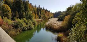 Art du temps et apprentissage en coaching individuel 