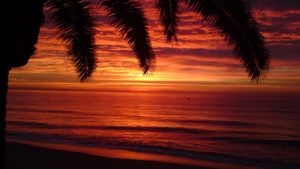 Techniques Entretien Coaching: l'art du questionnement avec ChatGPT