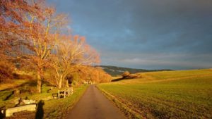 Coaching et Autocoaching narratif Histoires de vie (Outils et méthodes)