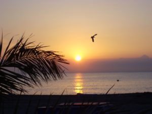 Confiance et Estime de soi, identité professionnelle et projet de vie