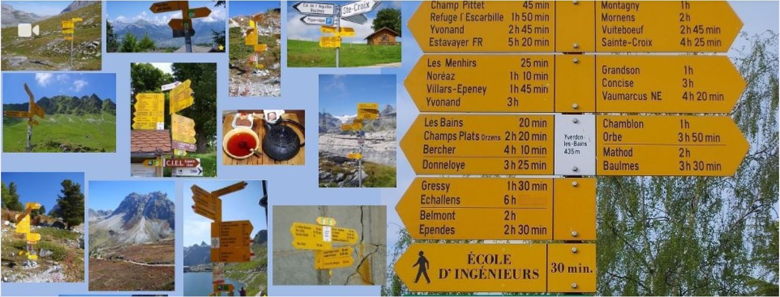 Formation en coaching individuel (12 cours à choix)