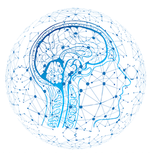 Mind Mapping et outils pour mémoriser, apprendre efficacement
