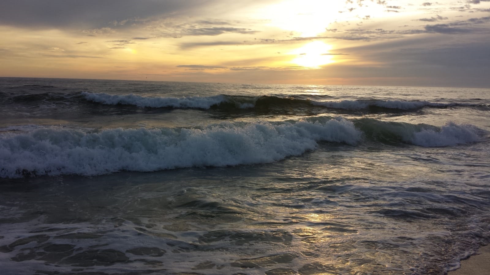 Formation Motivation, Valeurs et Engagement en coaching individuel