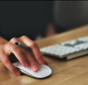 Outils et méthodes de la recherche d'emploi, Job Coaching 