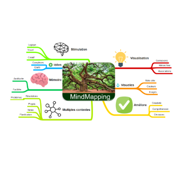 Formation Outils Apprendre et Mémoriser, Mind Mapping 