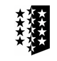 Logo de Canton du Valais