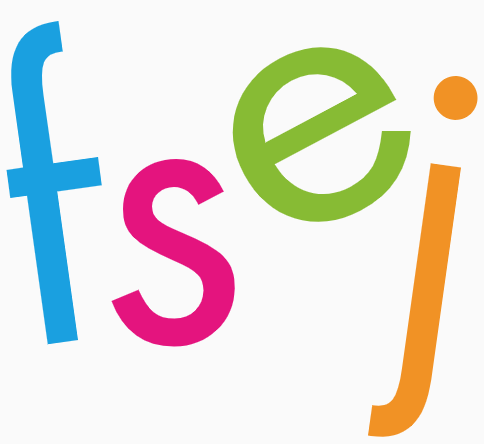 Logo de Fondation des Structures de l'Enfance & la Jeunesse