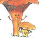 Logo de Garderie La Girolle