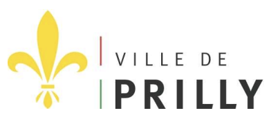Logo de CVE Le Tilleul