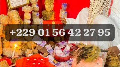 Multiplication d'argent +229 01 56 42 27 95
