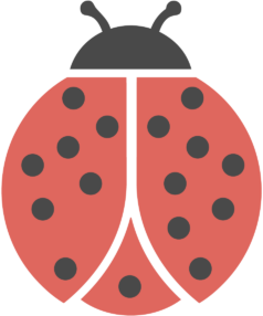 Réseau Coccinelle