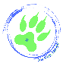 Logo de UAPE Les P'tits Filoups