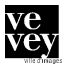 Logo de Ville de Vevey