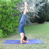 Logo de Yama coaching et Pilates